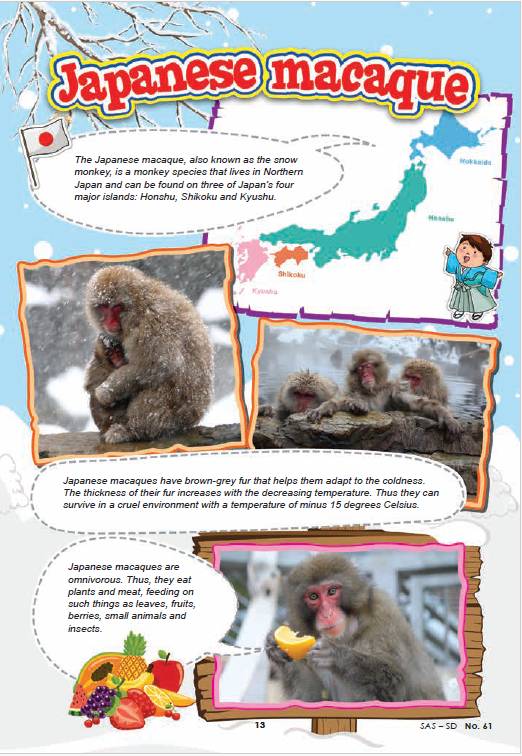 [Pre-Order] Volume 7 (Issue 61-70), DIGEST