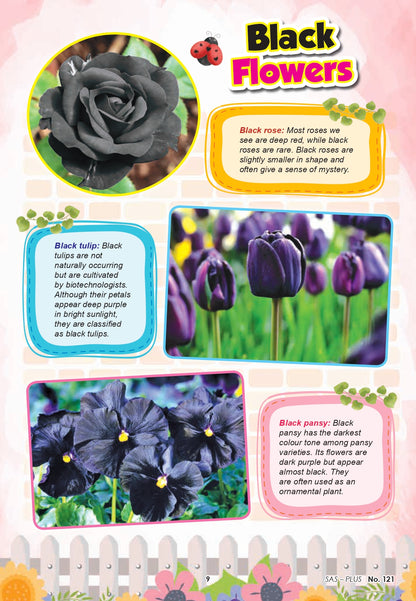 [Pre-Order] Volume 13 (Issue 121-130), Plus